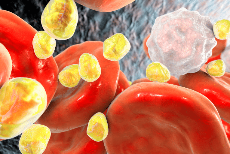 colesterol LDL oxidado